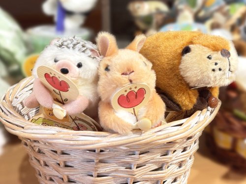 Carousel post from @ystk_official.