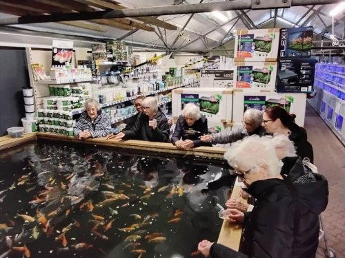 Photo post from Ayton House Care Home.