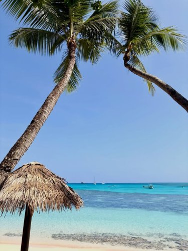 Photo post from Blue Lagoon Beach Resort.