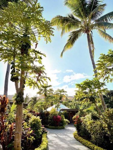 Photo post from Blue Lagoon Beach Resort.