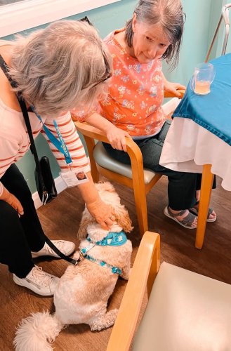 Carousel post from Jubilee House Care Home.