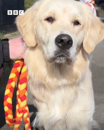 Photo post from Pawstrading Ltd.