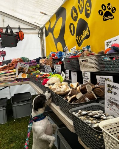 Photo post from Pawstrading Ltd.