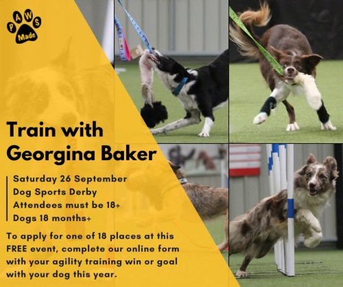 Photo post from Pawstrading Ltd.