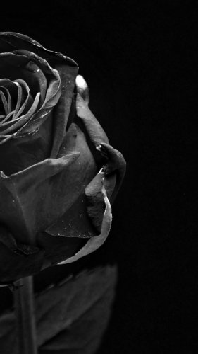 Video post from BYU Religious Studies Center.