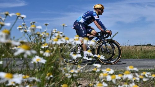 Photo post from Sustainable Newton.