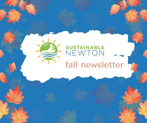 Carousel post from Sustainable Newton.