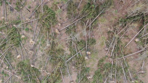 Photo post from Sustainable Newton.