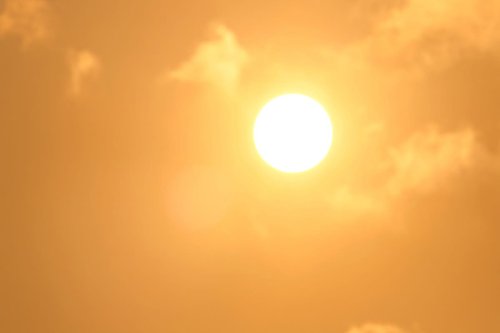 Photo post from Sustainable Newton.