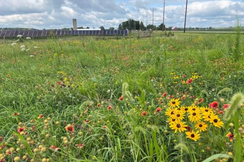 Photo post from Sustainable Newton.