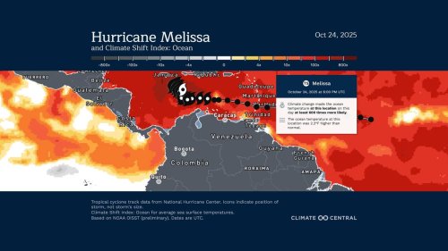 Carousel post from Sustainable Newton.