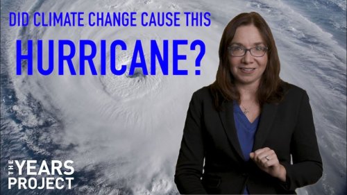 Video post from Sustainable Newton.