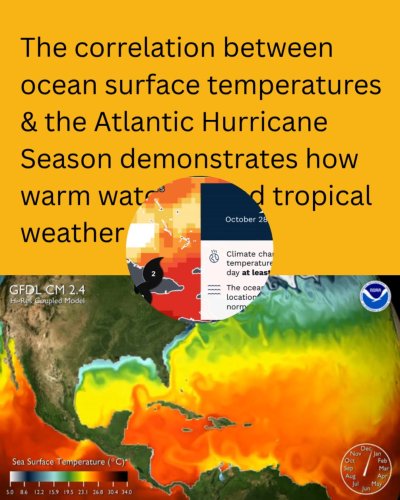 Video post from Sustainable Newton.
