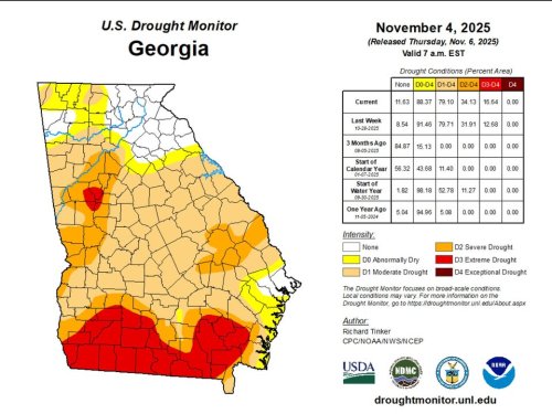 Carousel post from Sustainable Newton.