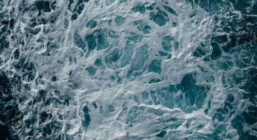 Photo post from Sustainable Newton.