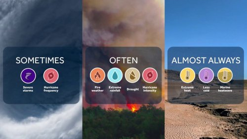 Video post from Sustainable Newton.