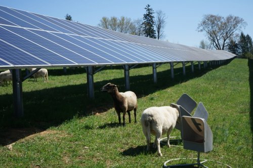 Photo post from Sustainable Newton.