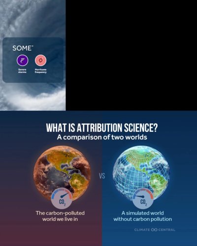 Video post from Sustainable Newton.