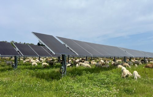 Photo post from Sustainable Newton.