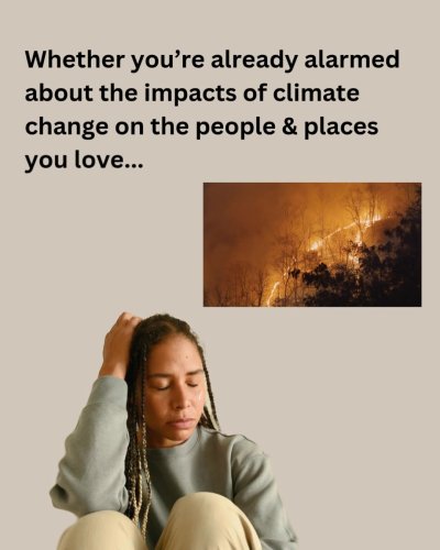 Video post from Sustainable Newton.