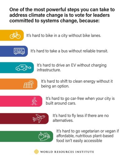 Photo post from Sustainable Newton.