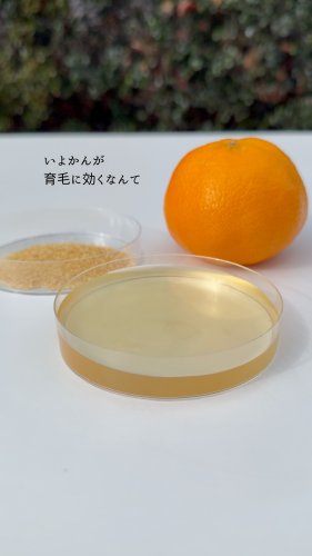 Video post from 三省製薬　デルメッド.