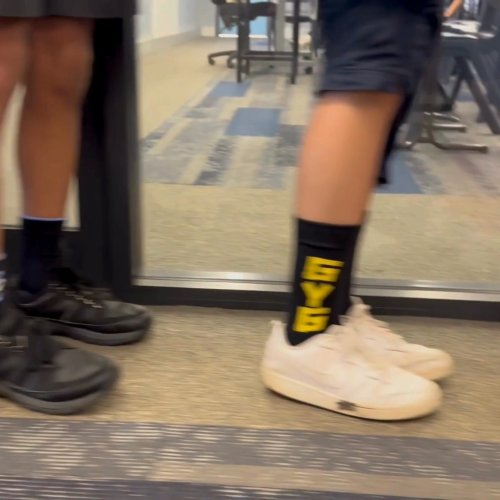 Video post from Mount Carmel Catholic College, Varroville.