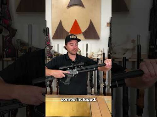 Video post from airgunsofarizona.