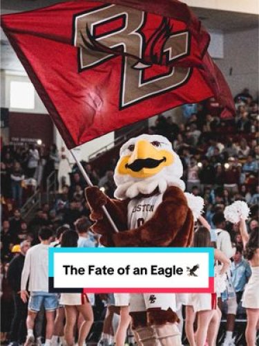 Video post from bostoncollege.