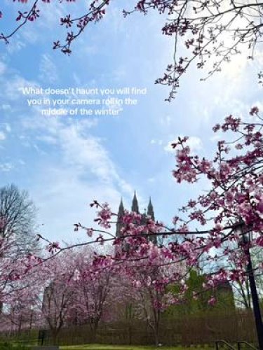 Video post from bostoncollege.