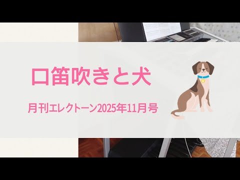 Video post from nana electone chanel.