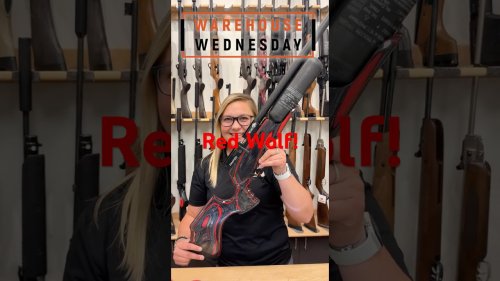Video post from airgunsofarizona.