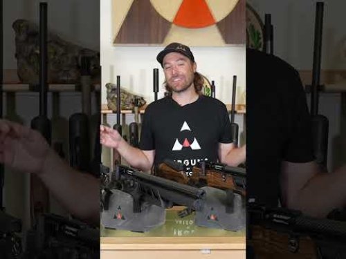 Video post from airgunsofarizona.