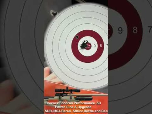Video post from airgunsofarizona.