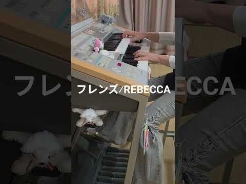 Video post from Kittyよこちゃん.