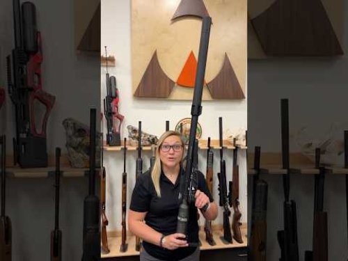 Video post from airgunsofarizona.