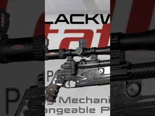 Video post from airgunsofarizona.