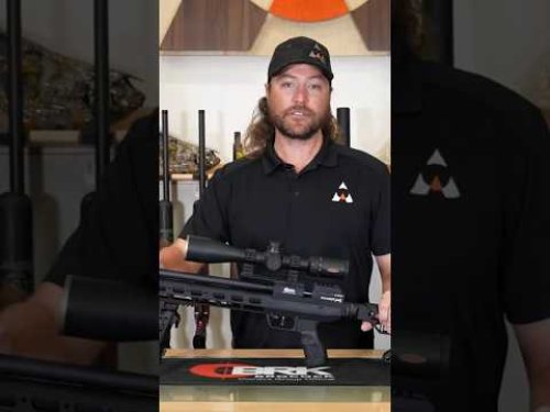 Video post from airgunsofarizona.