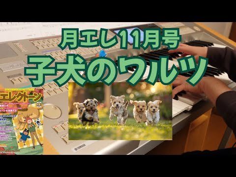 Video post from You Pica Music　.