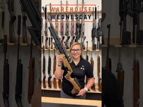 Video post from airgunsofarizona.