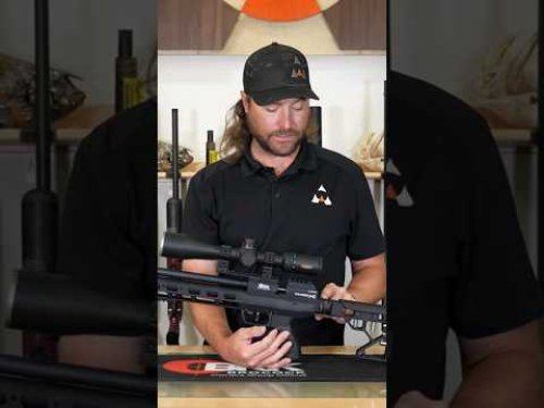 Video post from airgunsofarizona.