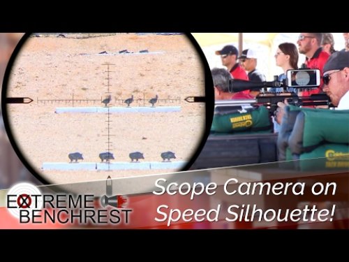 Video post from airgunsofarizona.