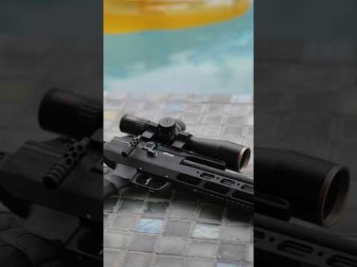 Video post from airgunsofarizona.
