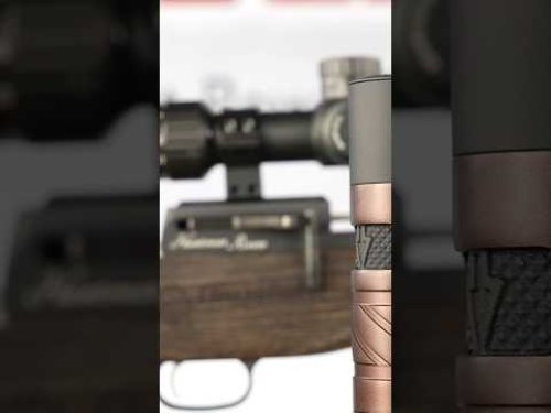 Video post from airgunsofarizona.