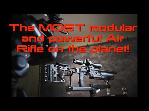 Video post from airgunsofarizona.