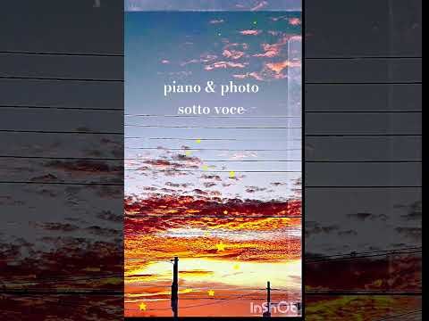 Video post from sotto voce.