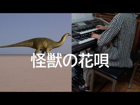 Video post from oba jun.