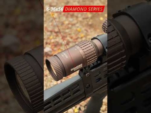 Video post from airgunsofarizona.