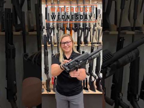 Video post from airgunsofarizona.