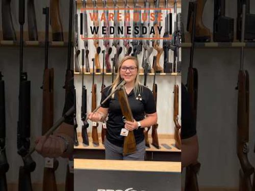 Video post from airgunsofarizona.